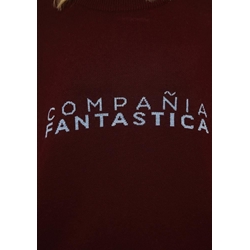 Compañía Fantástica_  Jersey "Compañía Fantástica" - Imagen 2