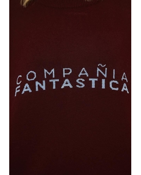 Compañía Fantástica_  Jersey "Compañía Fantástica" - Imagen 2