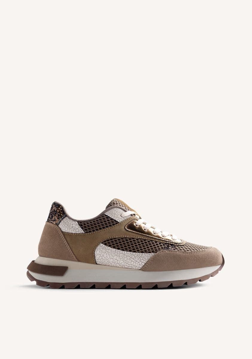 GIOSEPPO_ Deportivo Funkley - Imagen 1